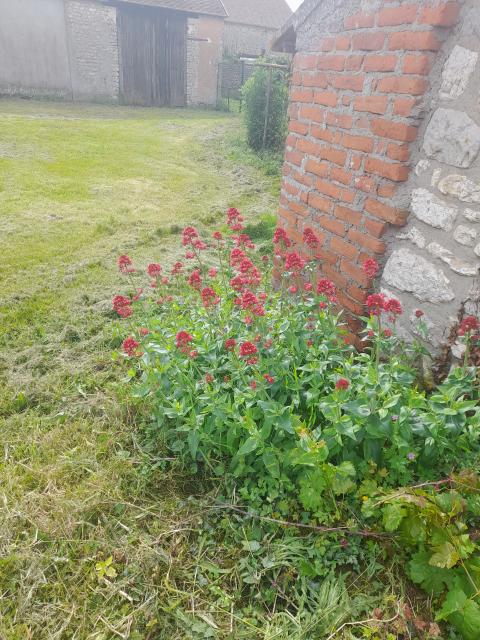 Location maison F2 Ardelu - Photo 6