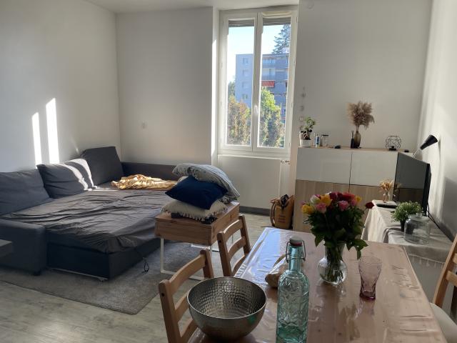Location appartement T2 St Etienne - Photo 4