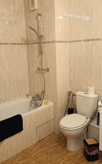 Location appartement T3 Issy les Moulineaux - Photo 8