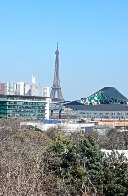 Location appartement T3 Issy les Moulineaux - Photo 10