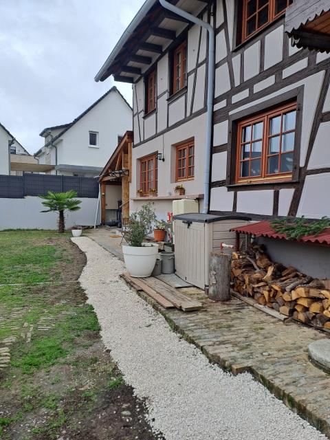 Location appartement T2 Hurtigheim - Photo 4