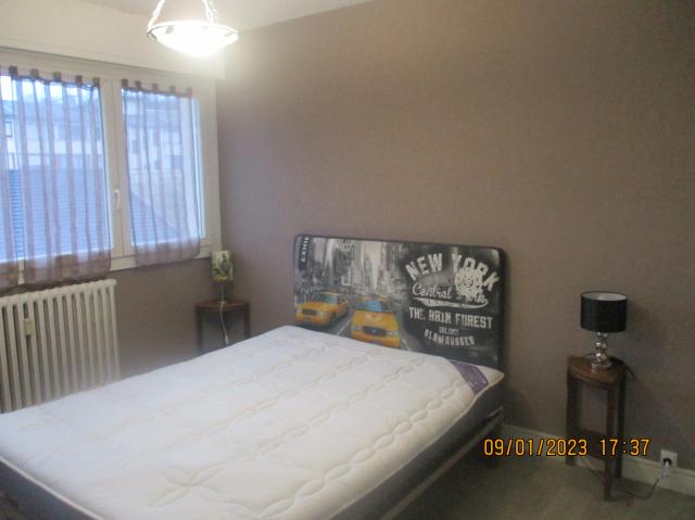 Location appartement T3 Aix les Bains - Photo 3