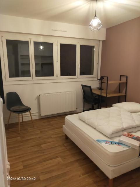 Location appartement T5 Nancy - Photo 6