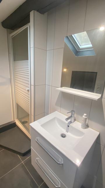 Location appartement T1 Nancy - Photo 3