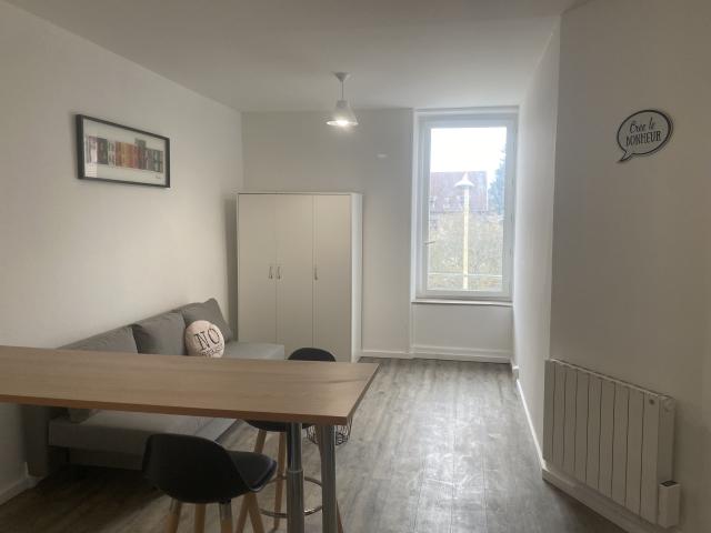 Location appartement T1 Nancy - Photo 7