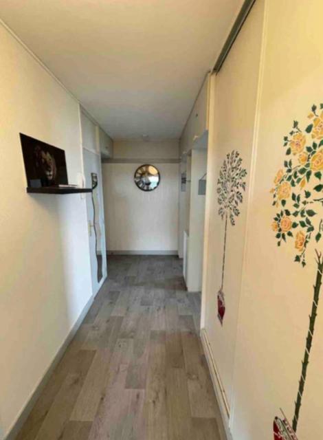 Location appartement T3 Reims - Photo 6