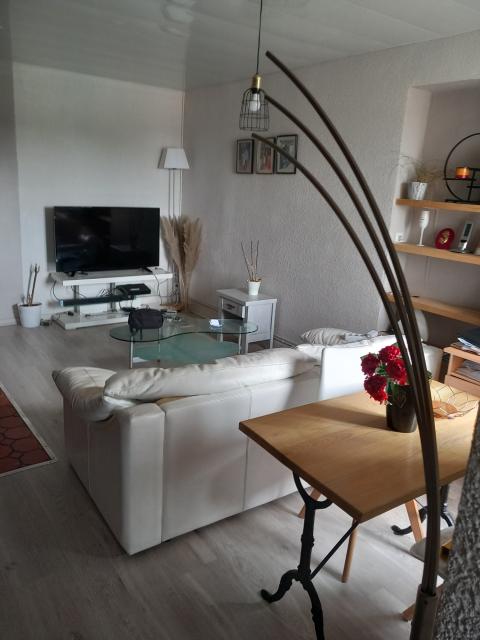 Location appartement T2 Belfort - Photo 3