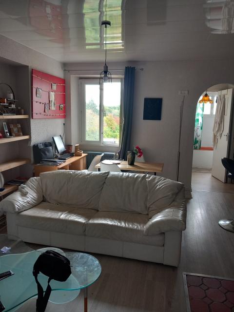 Location appartement T2 Belfort - Photo 6