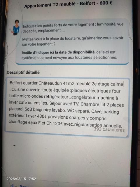 Location appartement T2 Belfort - Photo 7