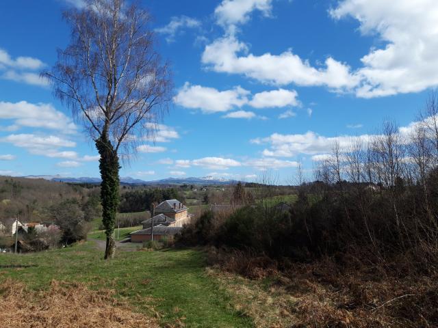 Location chambre Messeix - Photo 4