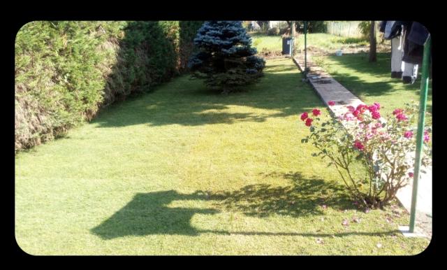 Location maison F4 Douai - Photo 2