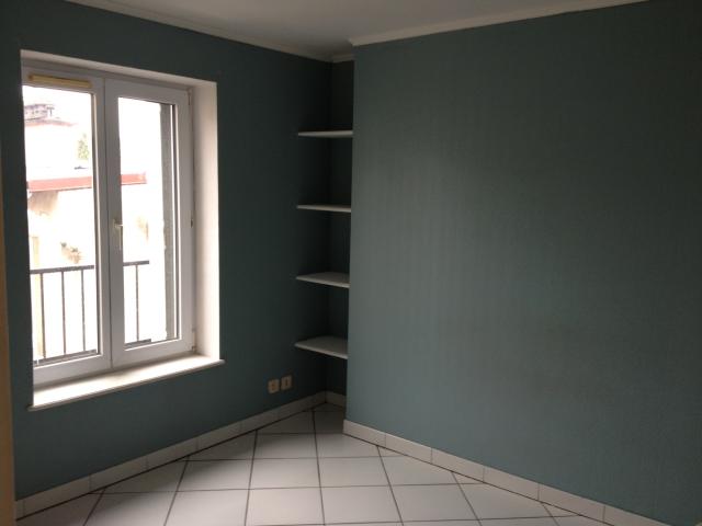Location appartement T3 Nancy - Photo 2