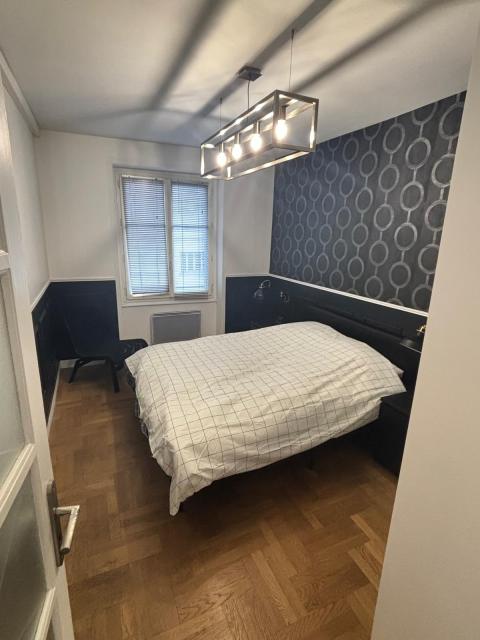Location appartement T4 Lyon 6 - Photo 2