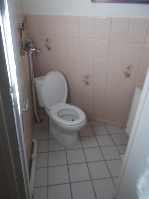 Location appartement T3 Colmar - Photo 5