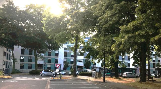 Location appartement T3 Rennes - Photo 8
