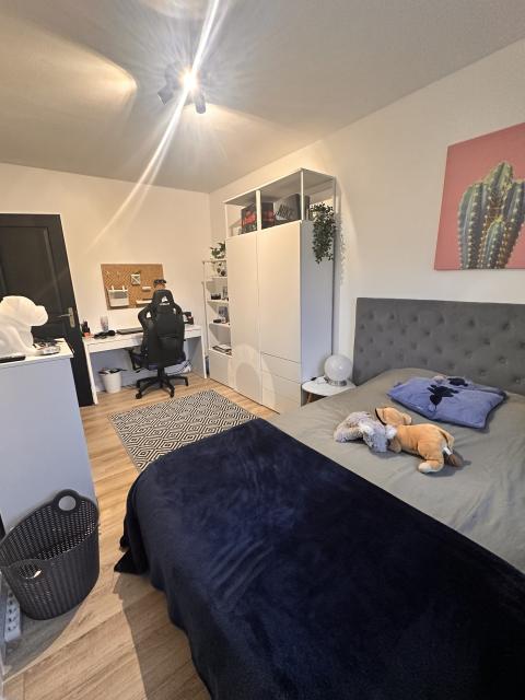 Location maison F4 Albi - Photo 2