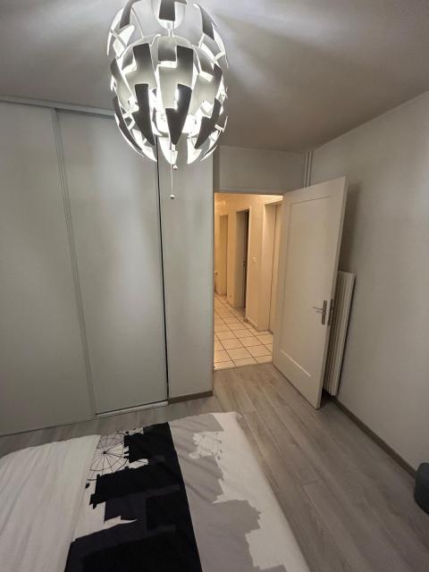 Location appartement T4 Mulhouse - Photo 2