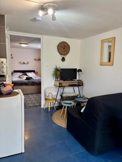 Location appartement T2 St Romain de Jalionas - Photo 3