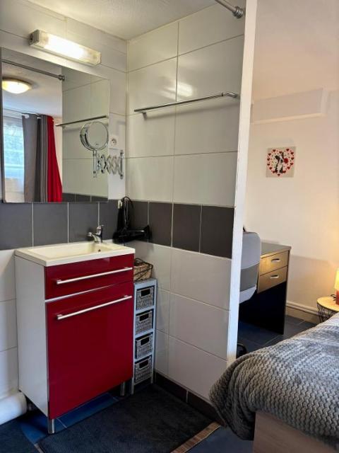 Location appartement T2 St Romain de Jalionas - Photo 4