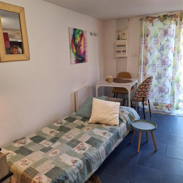 Location appartement T2 St Romain de Jalionas - Photo 5