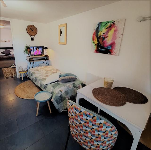 Location appartement T2 St Romain de Jalionas - Photo 6