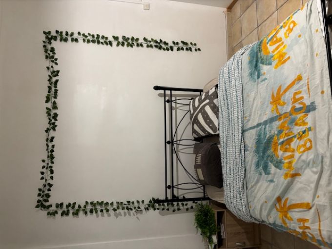 Location chambre Toulon - Photo 1