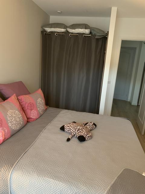 Location appartement T2 Mandelieu la Napoule - Photo 5