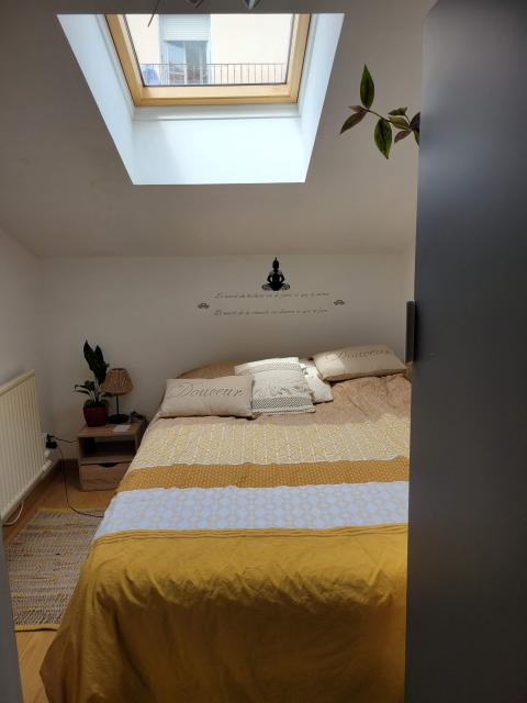 Location studio Lyon 3 - Photo 2