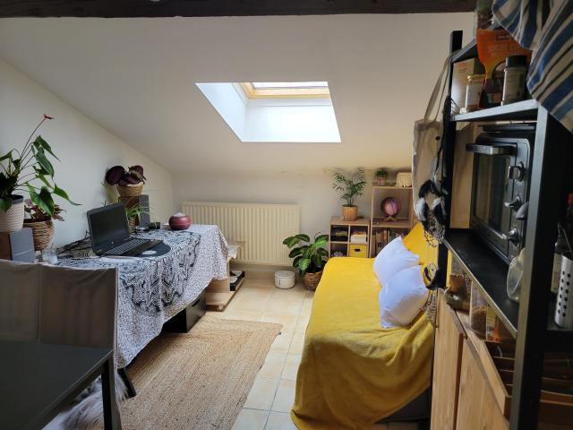 Location studio Lyon 3 - Photo 5