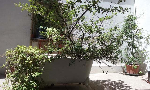 Location studio Toulouse - Photo 5