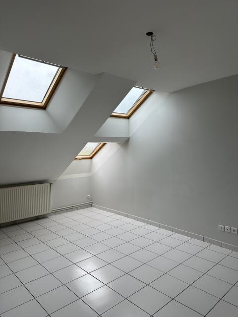 Location appartement T3 Nancy - Photo 3