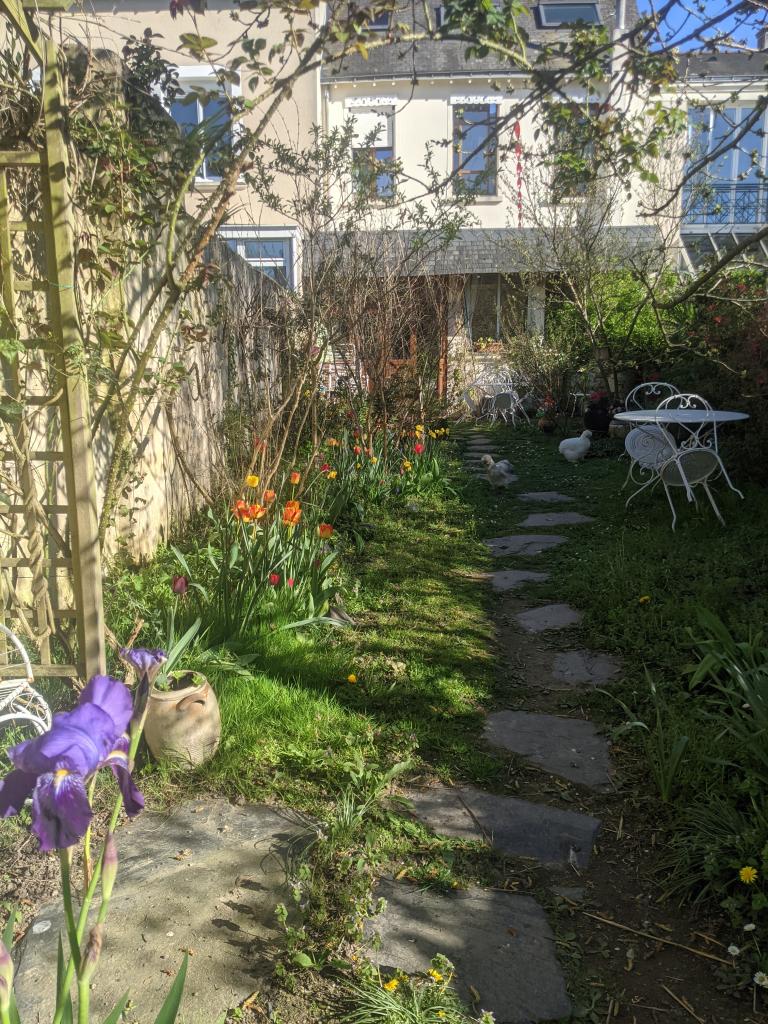 Location chambre Angers - Photo 3