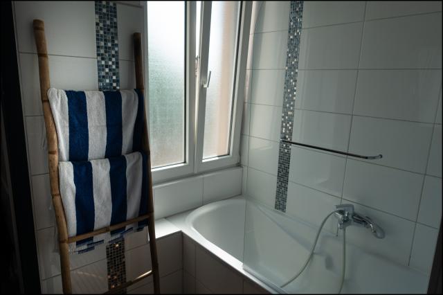 Location appartement T2 Colmar - Photo 7