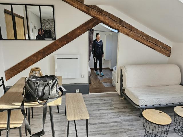 Location appartement T2 St Etienne - Photo 3