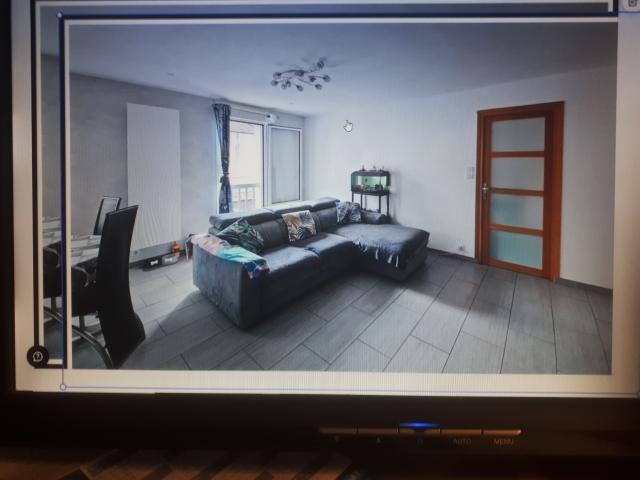 Location appartement T3 Esbly - Photo 2