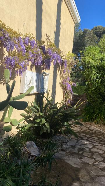Location maison F4 Antibes - Photo 2