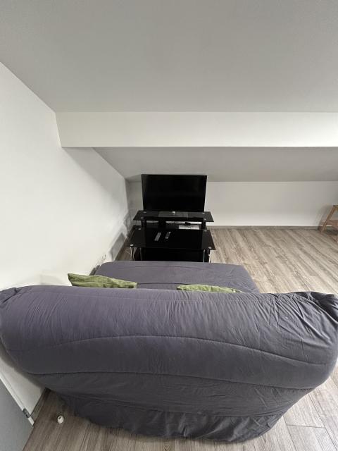 Location appartement T2 Nancy - Photo 2