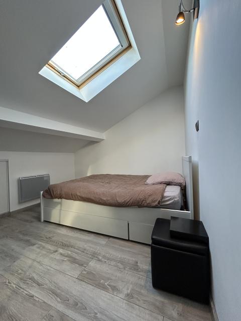 Location appartement T2 Nancy - Photo 4