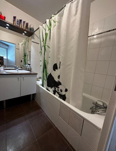 Location appartement T2 Goussainville - Photo 7