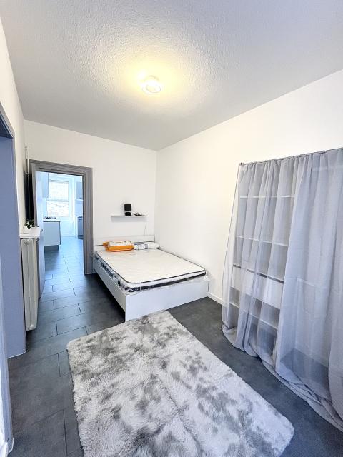 Location appartement T2 Mulhouse - Photo 5