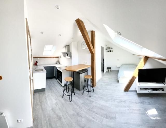Location studio Mulhouse - Photo 2