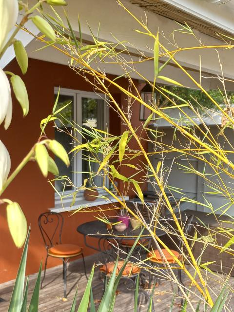 Location studio Pessac - Photo 10