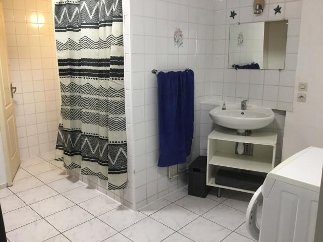 Location appartement T2 Longeville les Metz - Photo 4