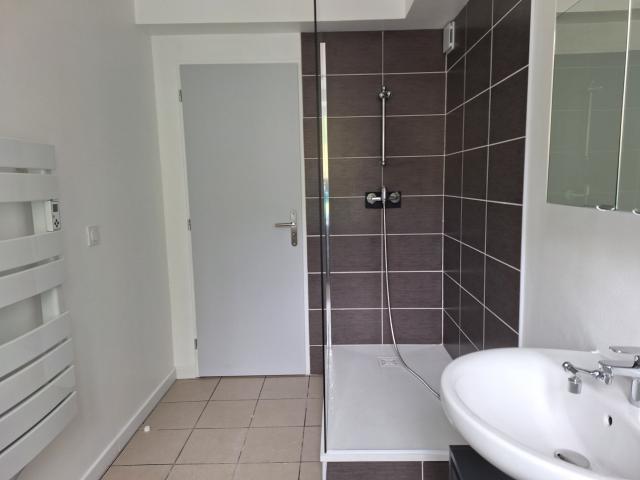 Location appartement T2 Vienne - Photo 8