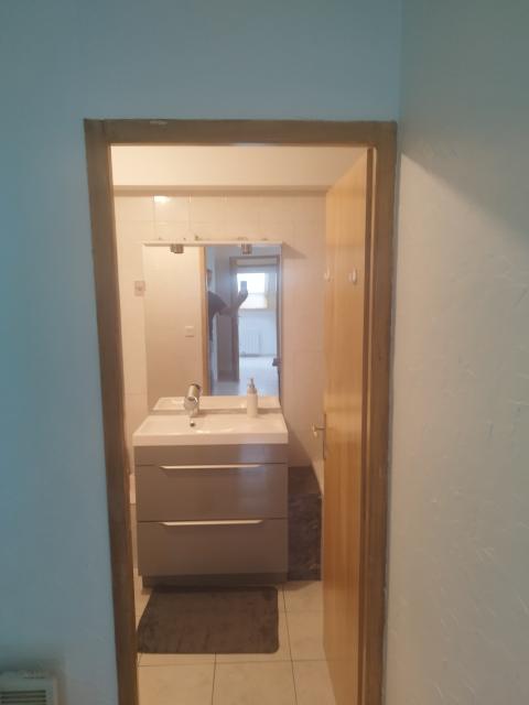 Location appartement T2 Les Hopitaux Neufs - Photo 9