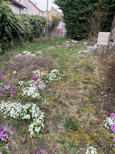 Location appartement T2 Romilly sur Seine - Photo 9