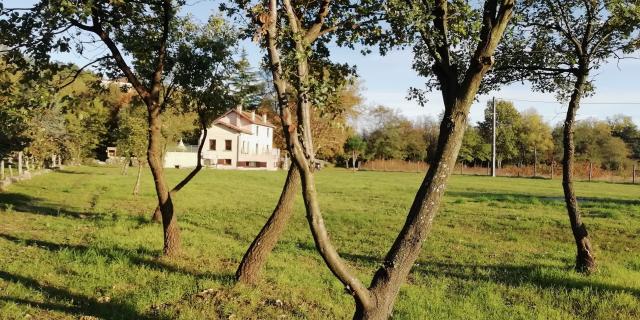Location maison F5 Aubenas - Photo 7