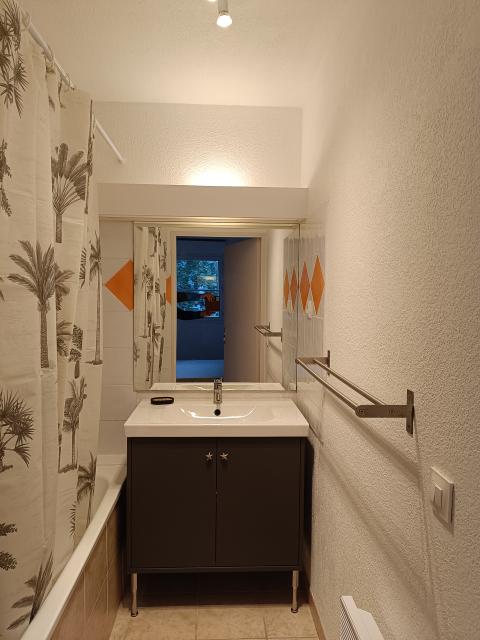 Location appartement T2 Montpellier - Photo 2