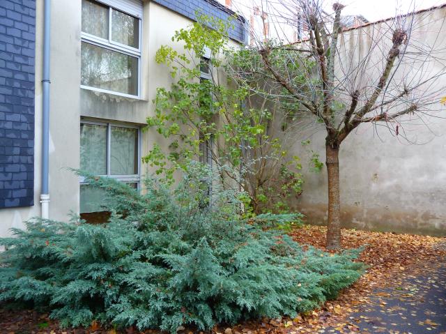 Location appartement T2 Orleans - Photo 6