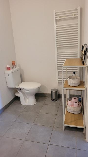 Location appartement T2 Seysses - Photo 5